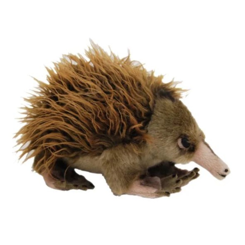 Australian Animals Echidna Teddy – Soft Toy