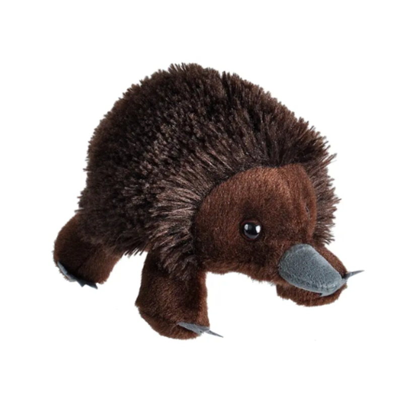 Mini Echidna Australian Animal Soft Toy