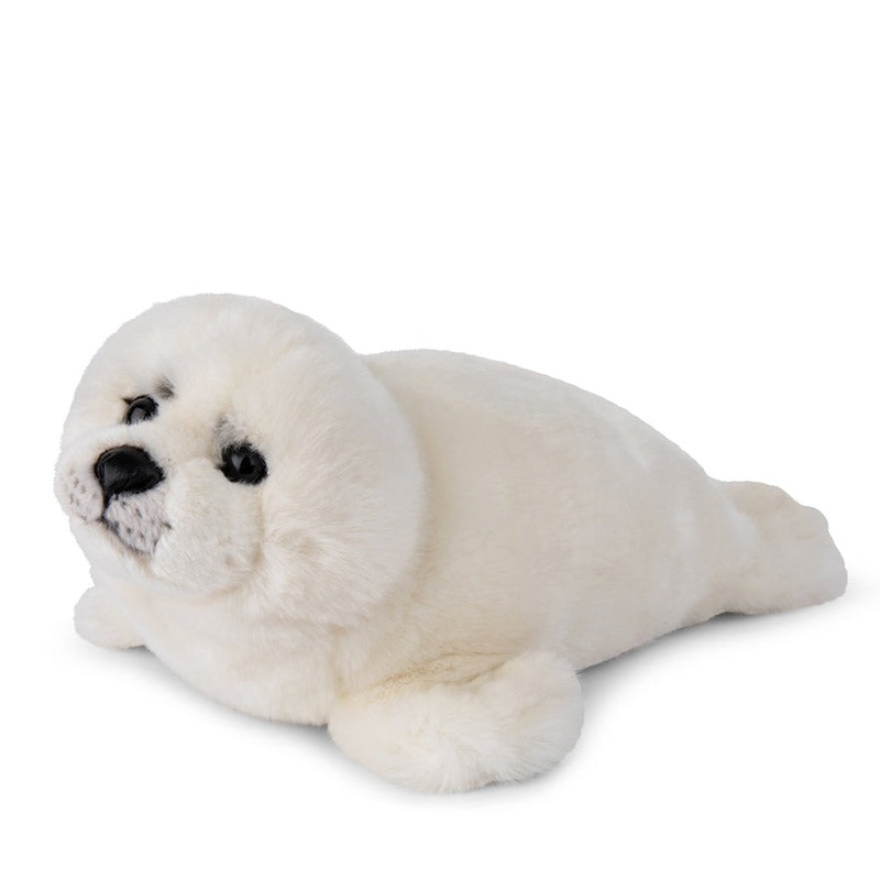 White Seal Pup Teddy Bear – Soft Toy