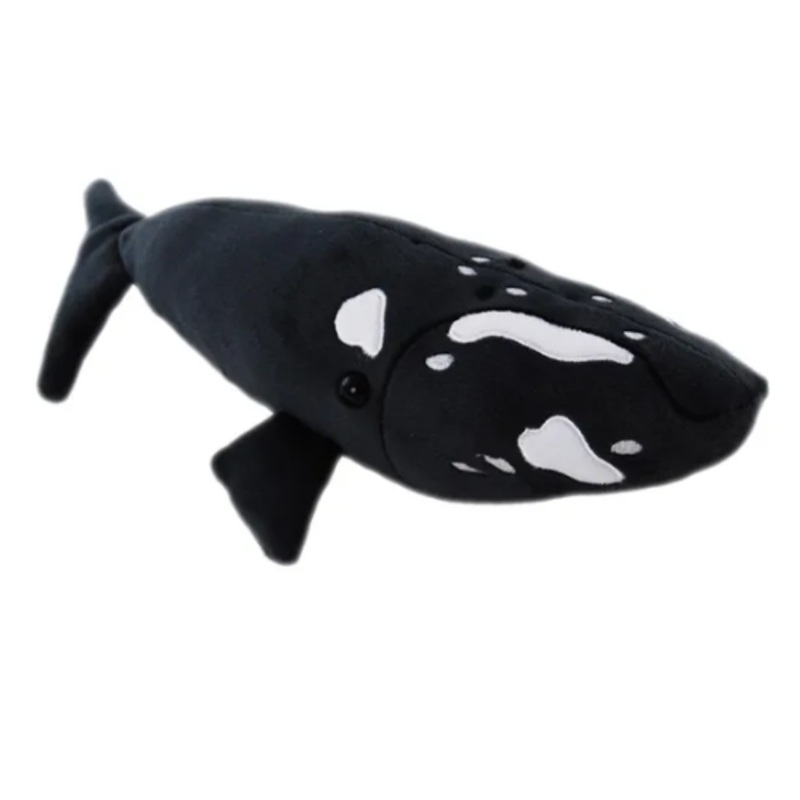 Southern Right Whale Soft Toy Teddy