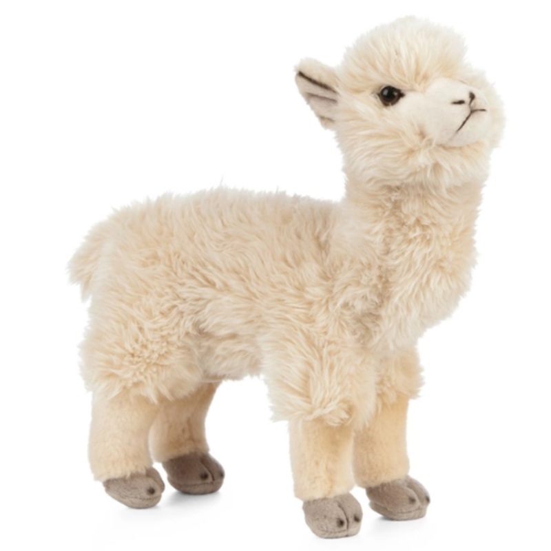 Alpaca Teddy Bear – Soft Toy