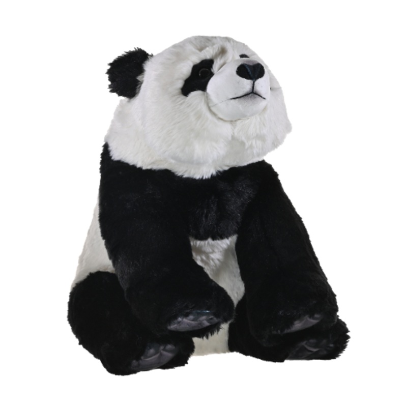 Artist Panda Teddy Bear – Soft Toy