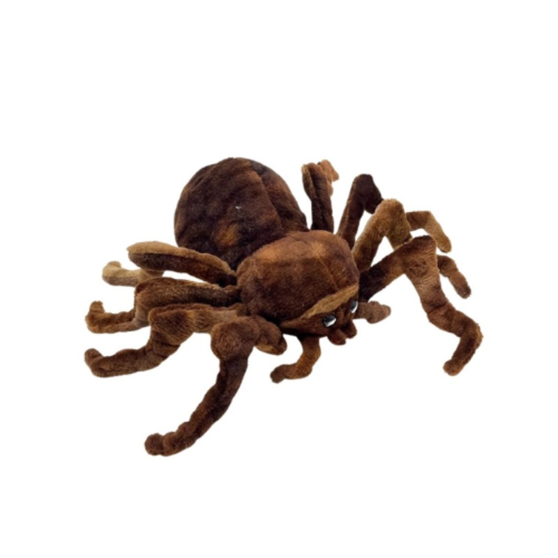 Australian Brown Spider Teddy – Soft Toy