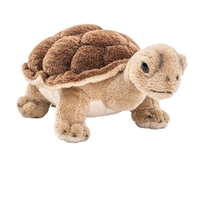 Tortoise Teddy Bear – Soft Toy