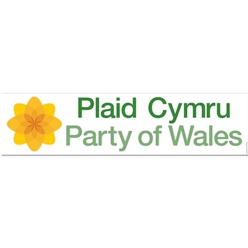 Plaid Cymru Party Banner – 1.2m