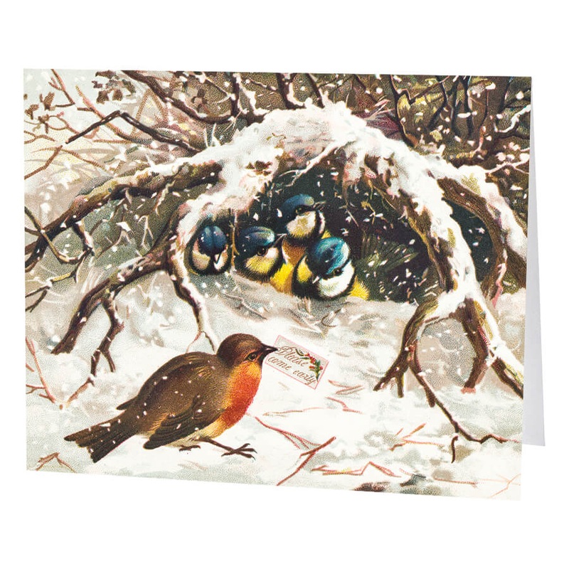 Winter Birds Set/5 Greeting Cards